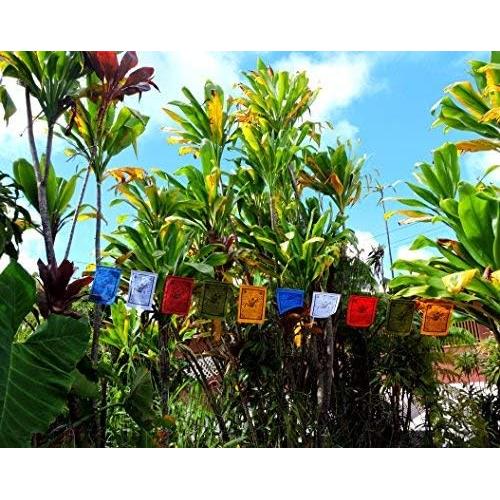 Bandera de Oración Caballo del Viento Manos de Tíbet 15x20 cm