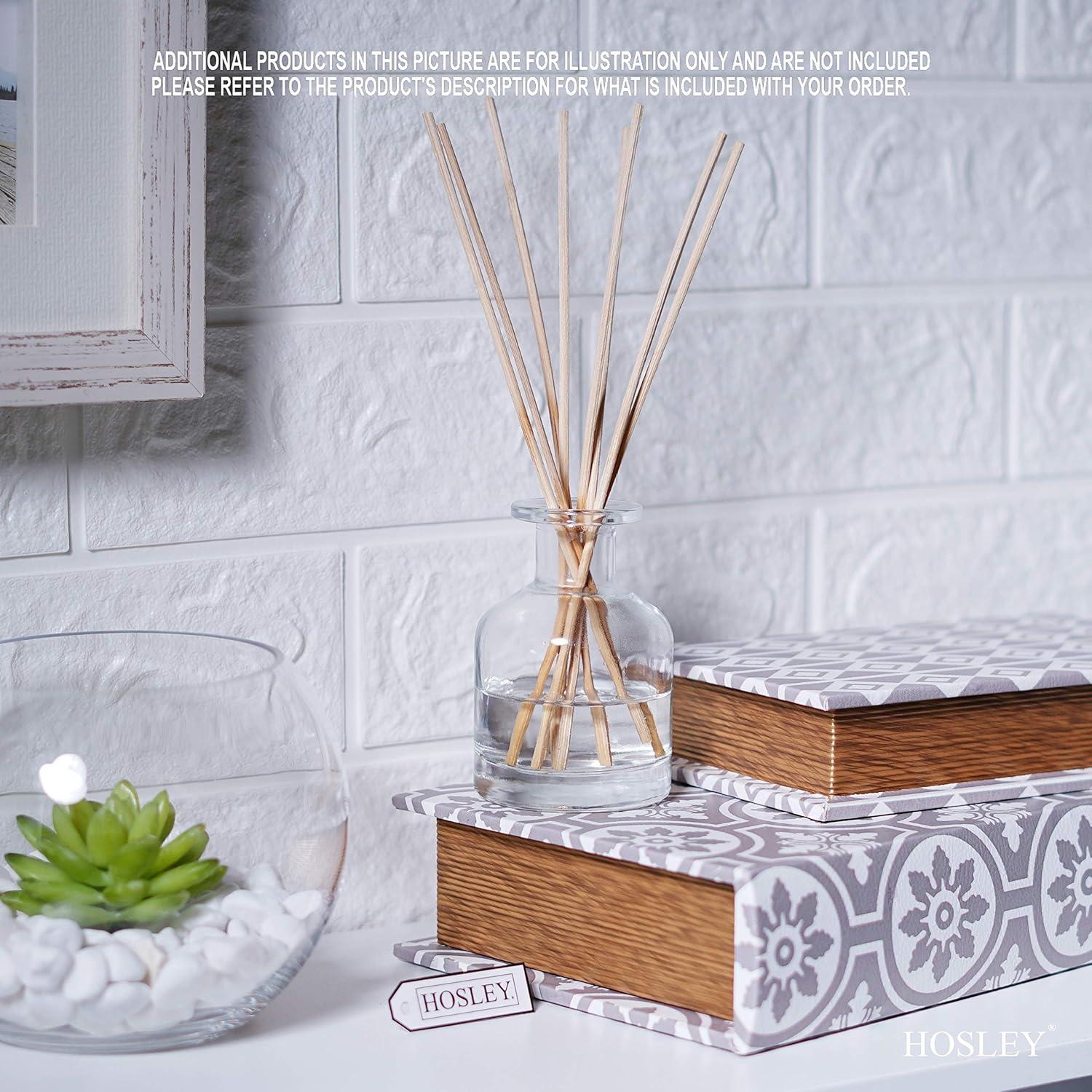 Conjunto de 4 Botellas de Vidrio Transparentes 9.7 cm - Hosley