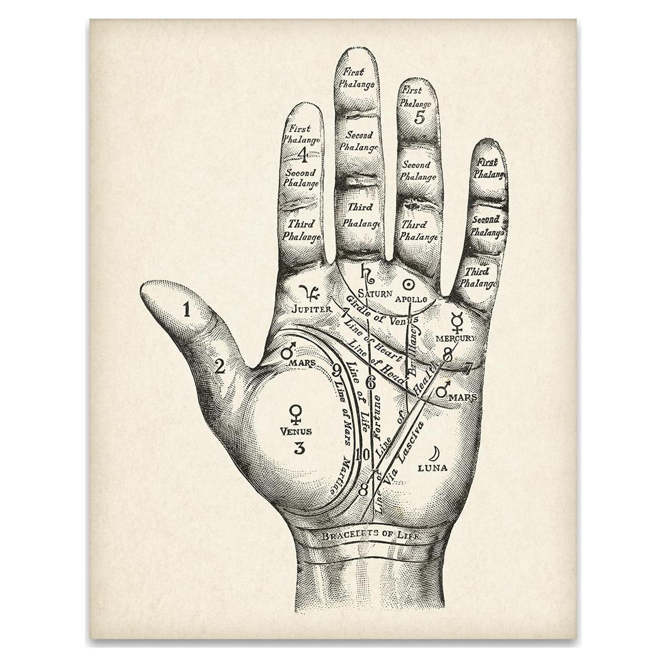 Arte de Pared Vintage Lectura de Palmas 28x36 cm Sin Marco