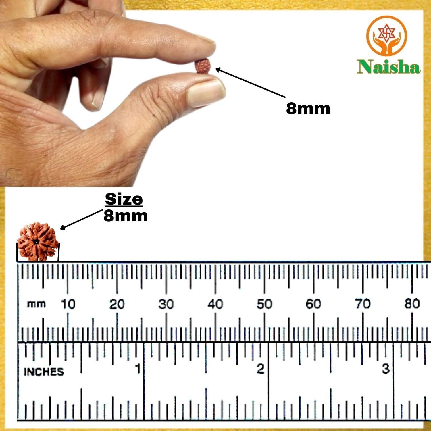 Mala de Rudraksha 108+1 Cuentas NAISHA 8 mm para Meditación