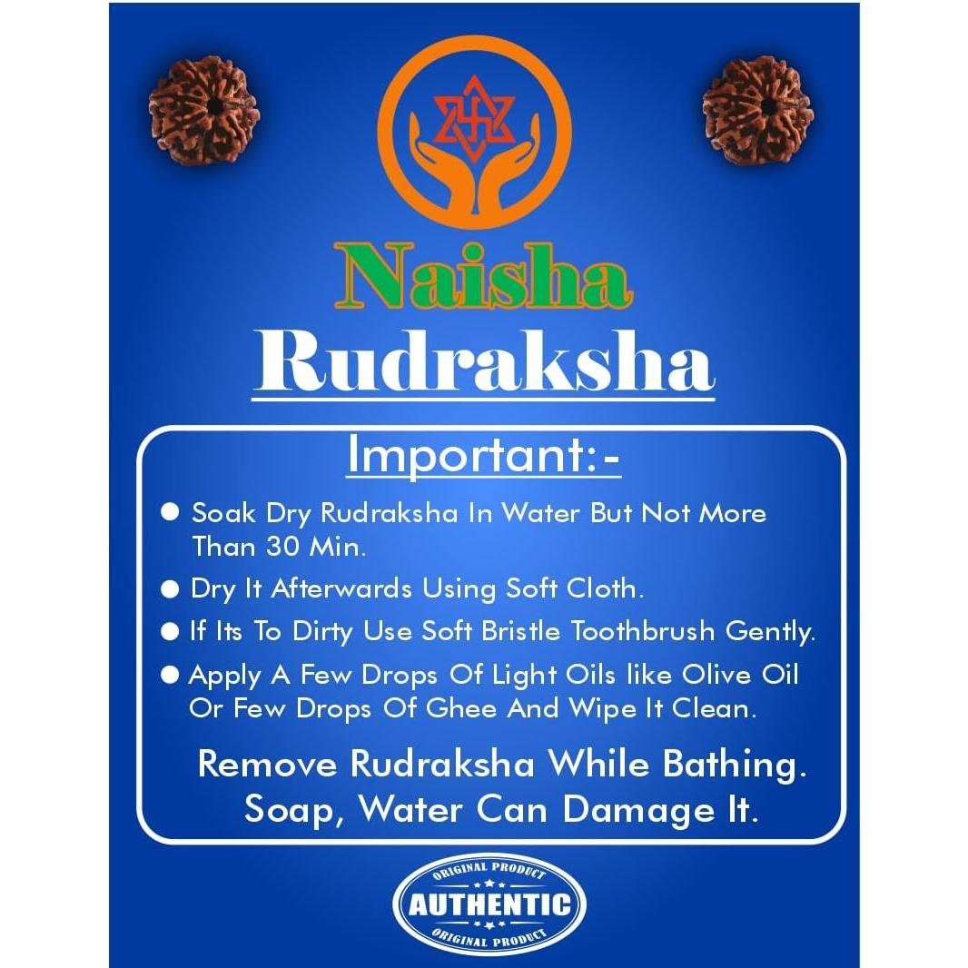 Mala de Rudraksha 108+1 Cuentas NAISHA 8 mm para Meditación