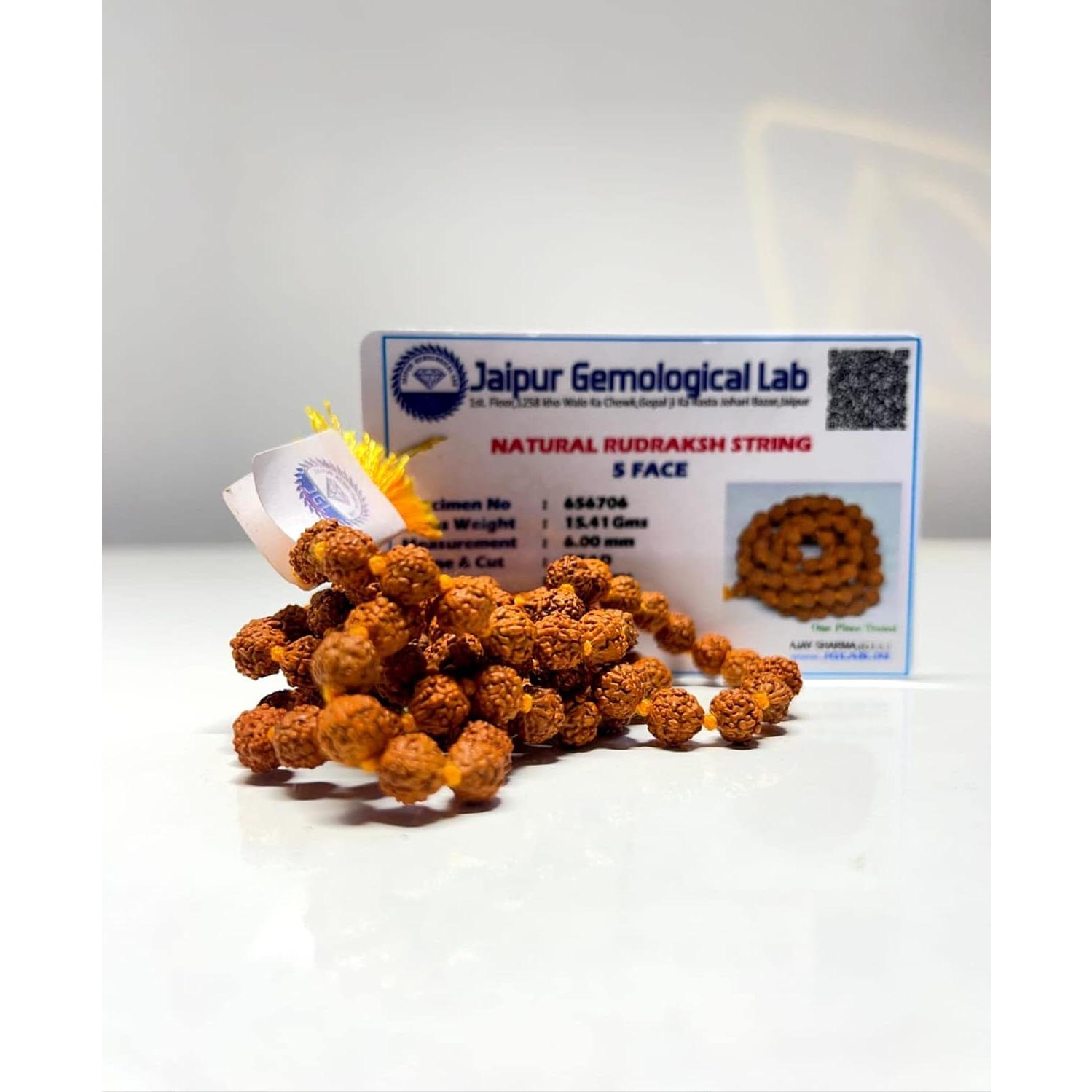 Mala de Rudraksha 5 Mukhi SHIVOHAM 108+1 cuentas 86.36 cm