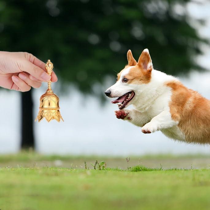 Campana de Mano de Bronce Homelavie 12cm Súper Ruidosa Oro