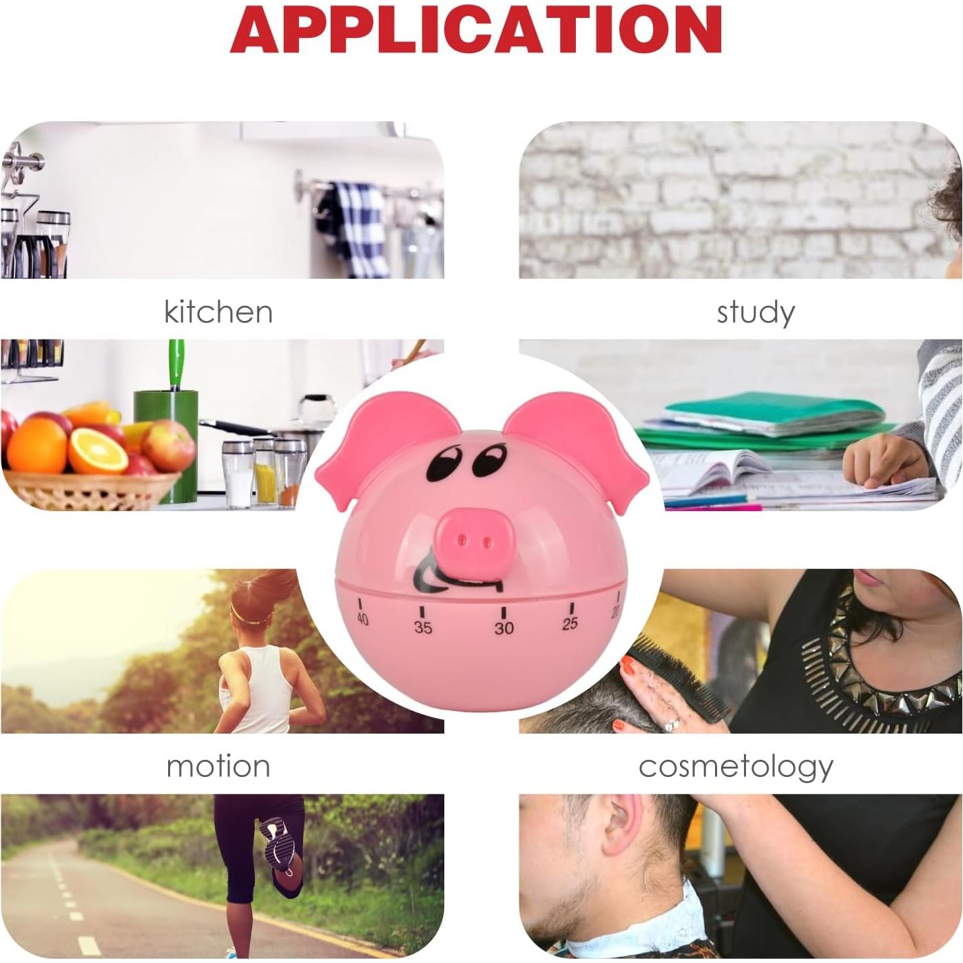 Temporizador Mecánico RileyFine WG013 Cerdito Rosa 60 Min