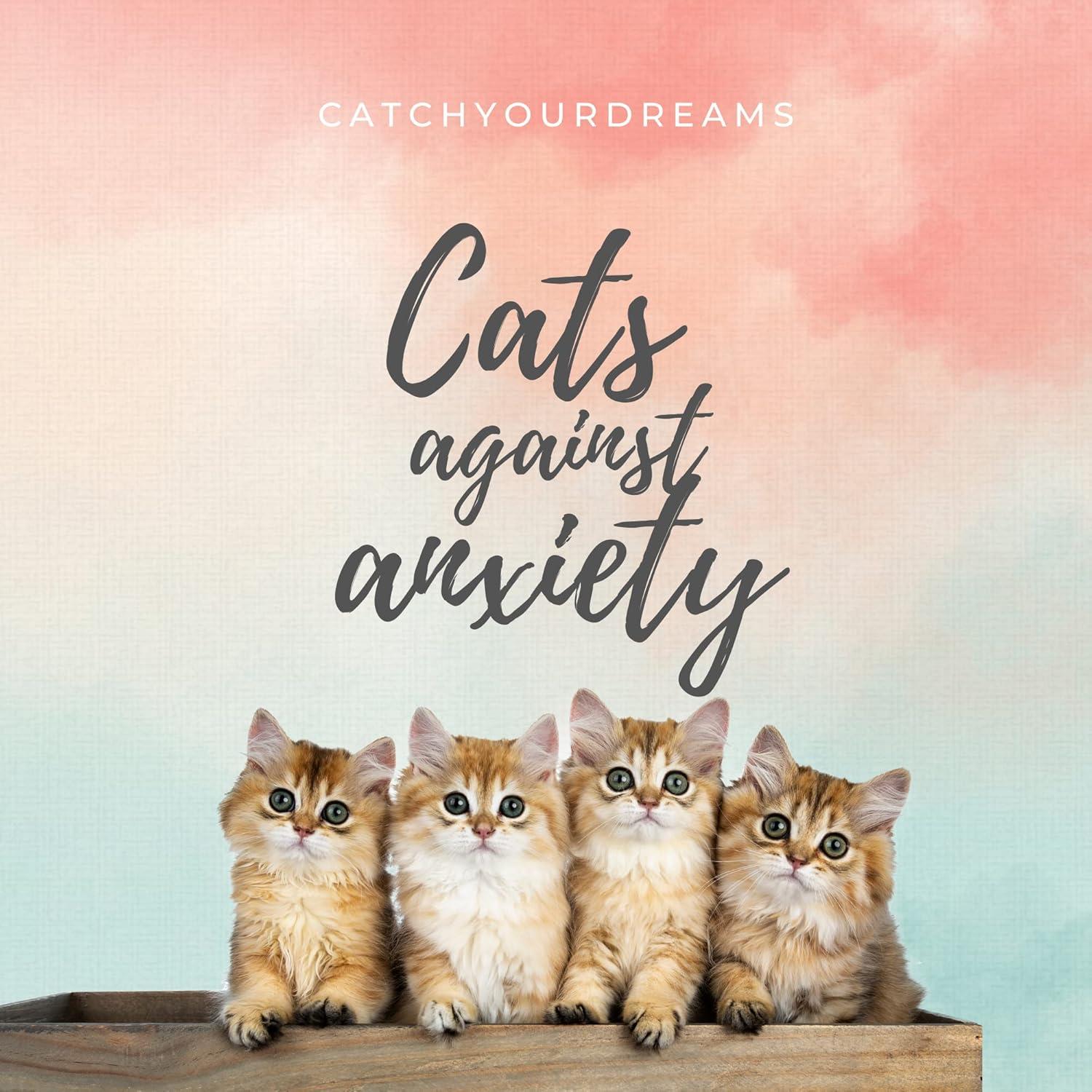 Tarjetas de Afirmaciones para Gatos - Catchyourdreams - 50 Unidades