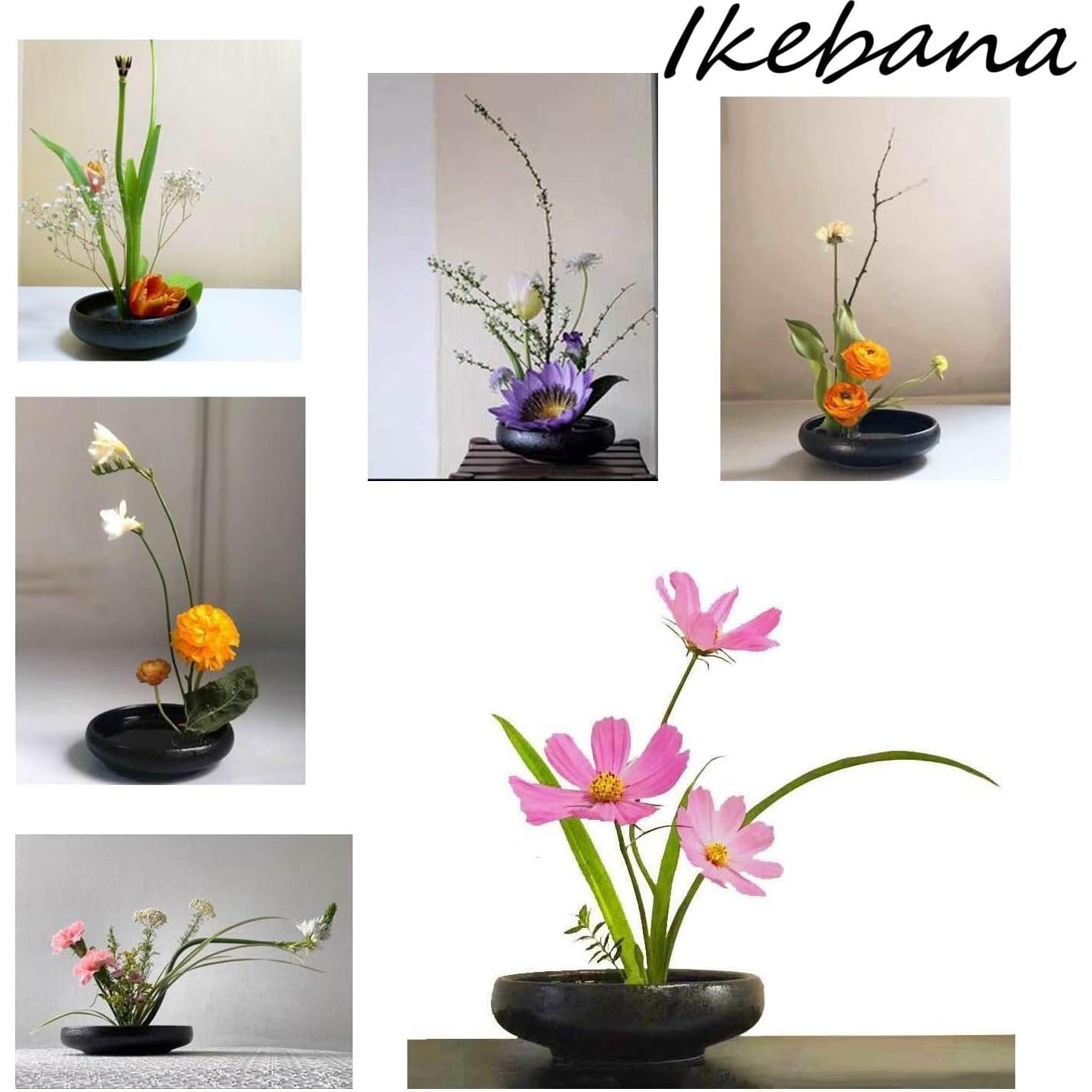 Kit de Jarrón Ikebana iToids Cerámica 15cm Redondo