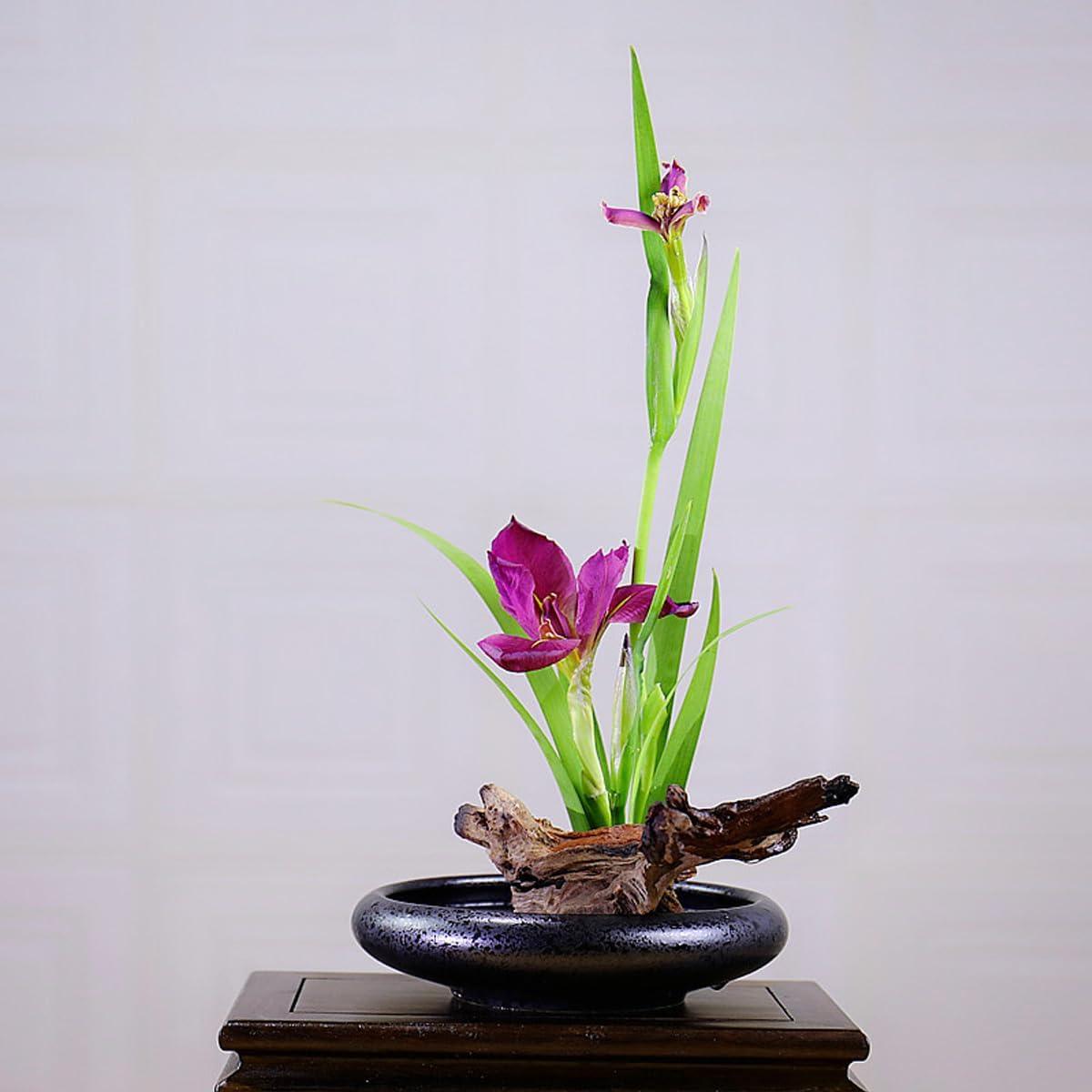 Kit de Jarrón Ikebana iToids Cerámica 15cm Redondo