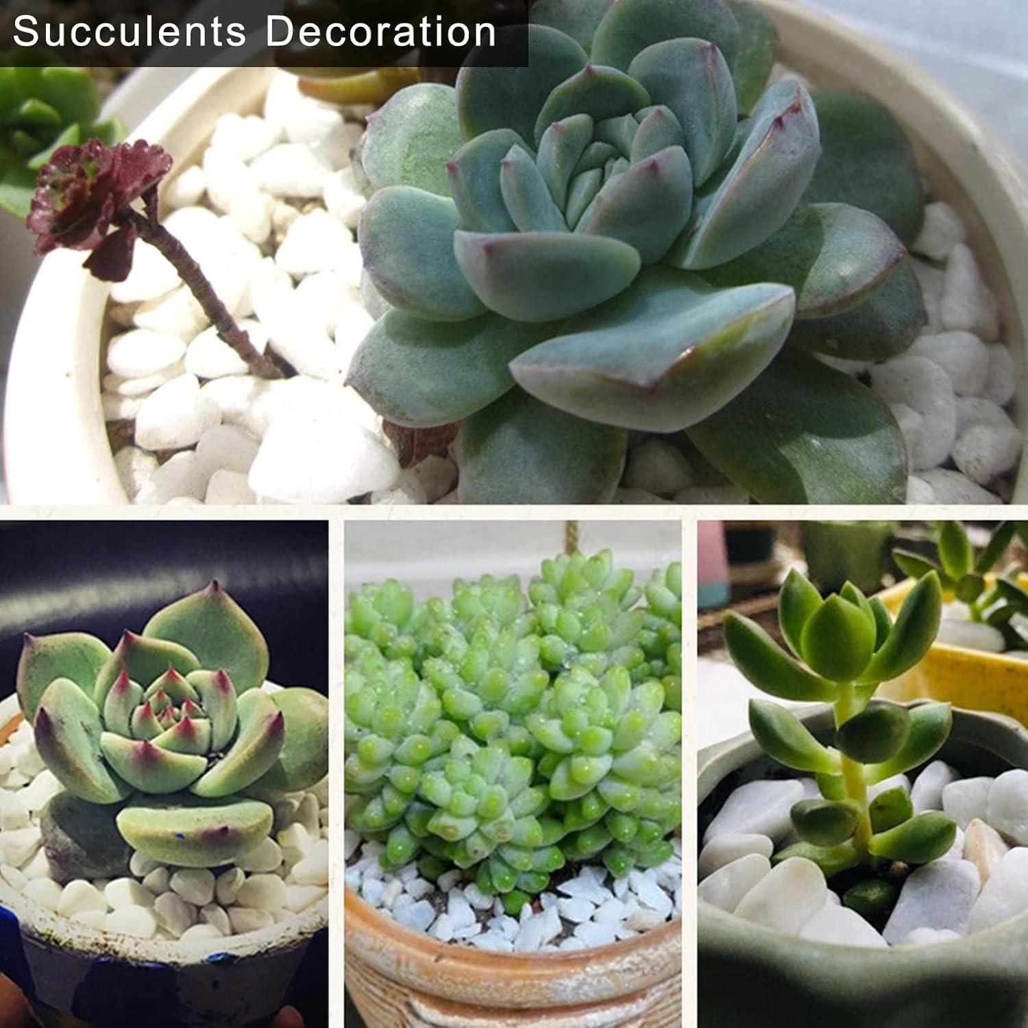 Piedras Pulidas Blancas Mate HappyFiller 8.16 kg 2.5-3.8 cm