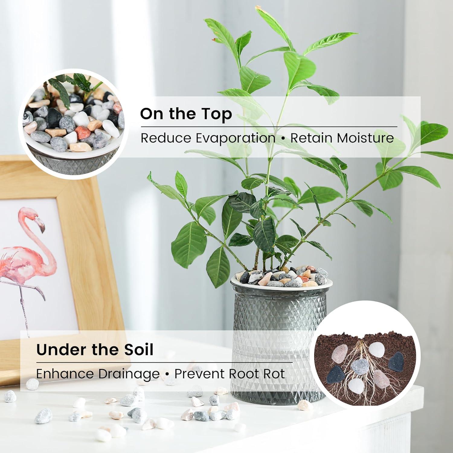 Grava Mixta Natural SIDONG 4.54 KG para Jardín y Acuarios