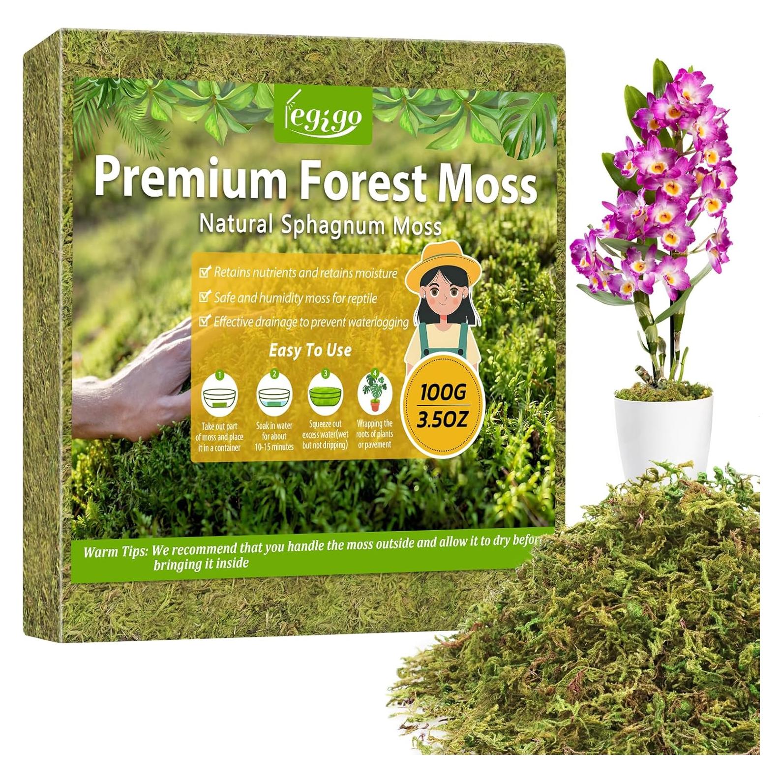 Musgo Sphagnum Natural Legigo 130g para Plantas y Decoración