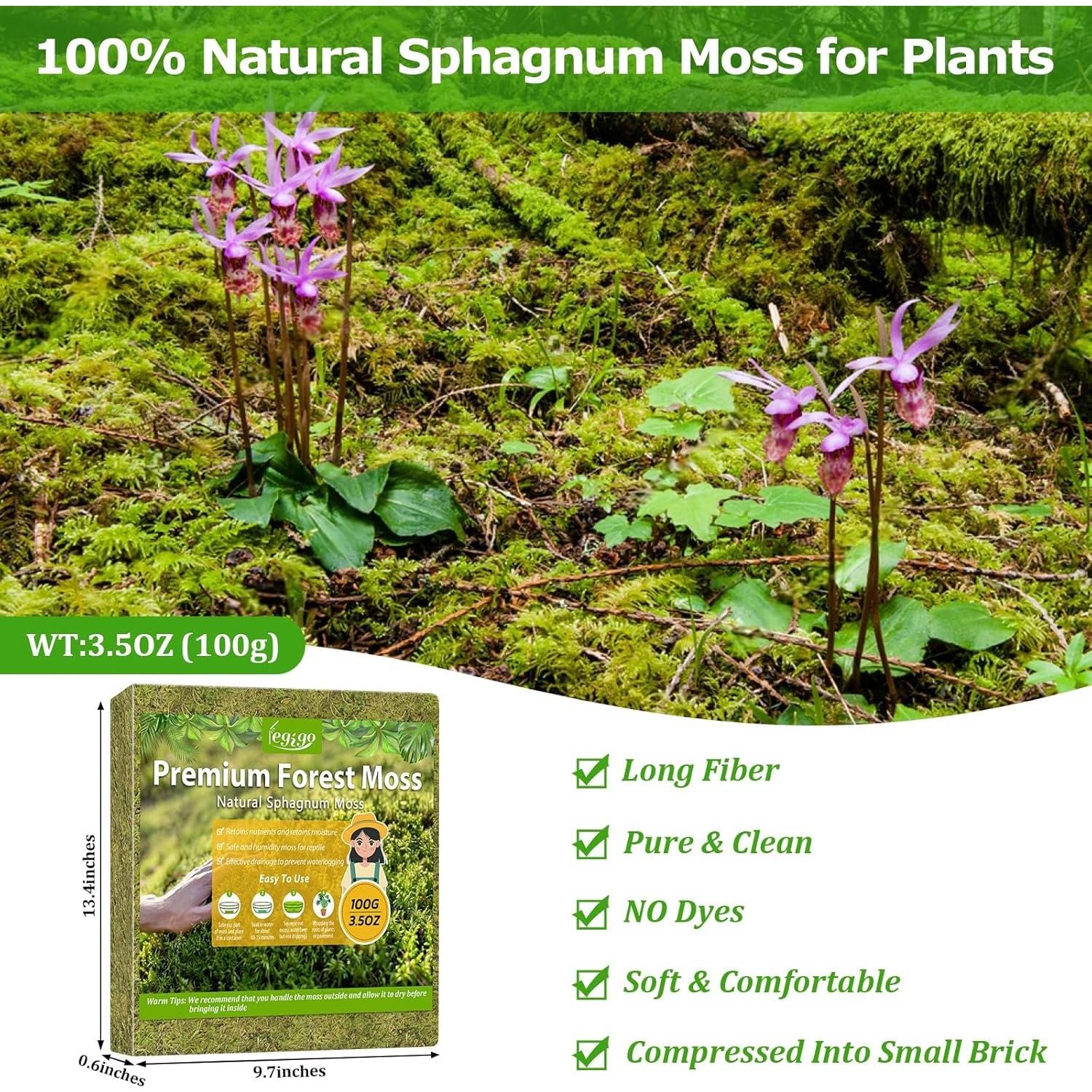 Musgo Sphagnum Natural Legigo 130g para Plantas y Decoración