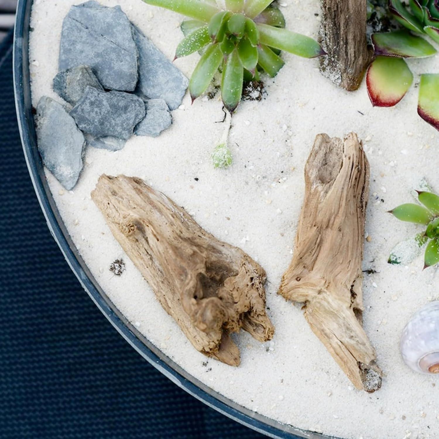 5 kg Arena Blanca para Acuario FANTIAN 0.4-0.8 mm Sustrato