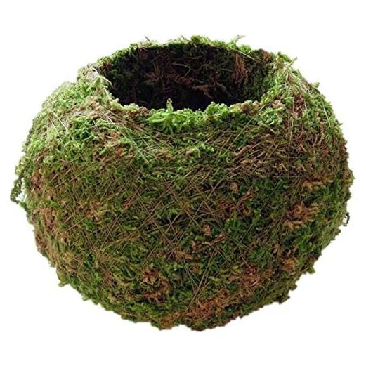 Maceta de Musgo FRECI 12cm Redonda Decorativa para Jardín