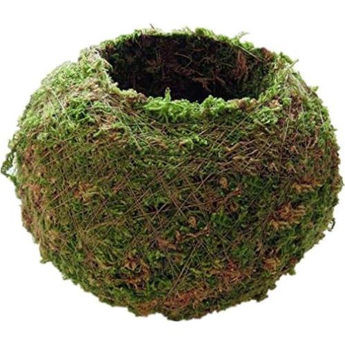 Maceta de Musgo FRECI 12cm Redonda Decorativa para Jardín