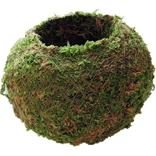 Maceta de Musgo FRECI 12cm Redonda Decorativa para Jardín