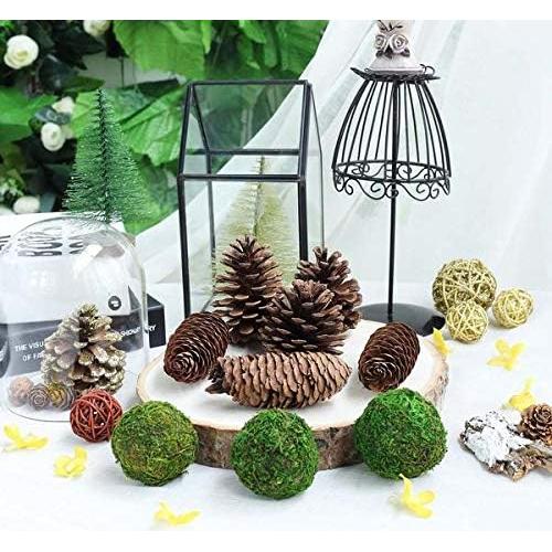 Bolas de Musgo Conservadas Dycica - Set de 6 (Verde Natural) 8.89 cm