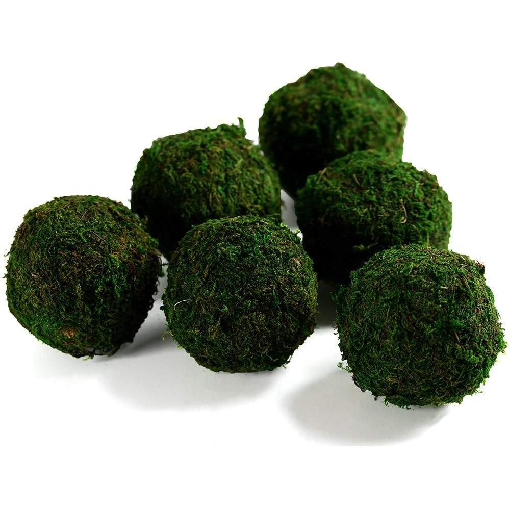 Bolas de Musgo Conservadas Dycica - Set de 6 (Verde Natural) 8.89 cm