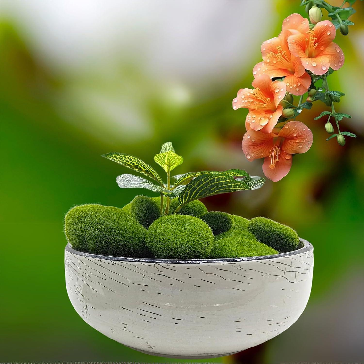 Rocas de Musgo Artificial AncBace 20 Piezas Decoración Verde