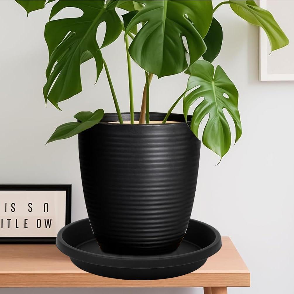 Plato para Plantas 6" Negro NIMYAU - 5 Paquetes Recolectores