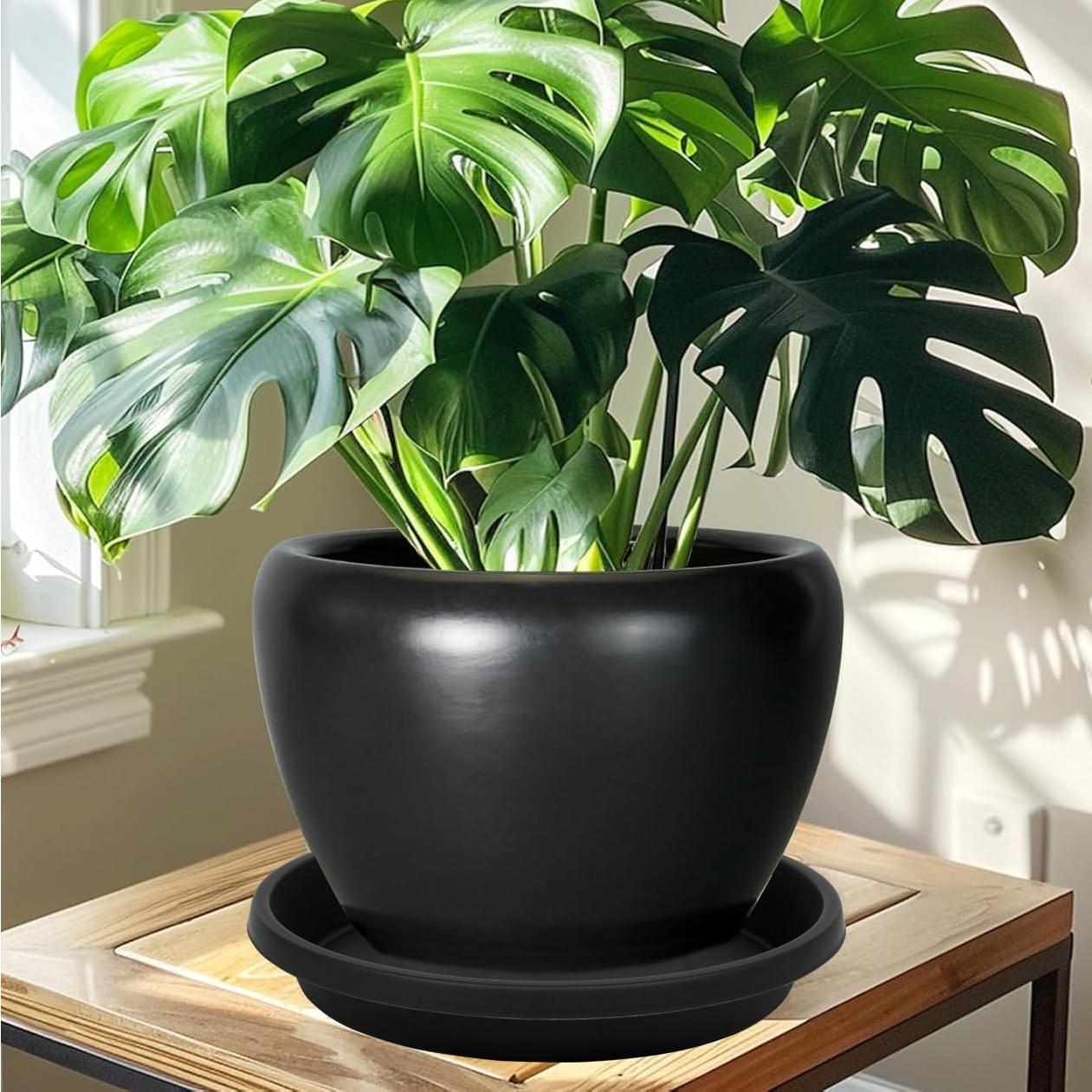 Plato para Plantas 6" Negro NIMYAU - 5 Paquetes Recolectores