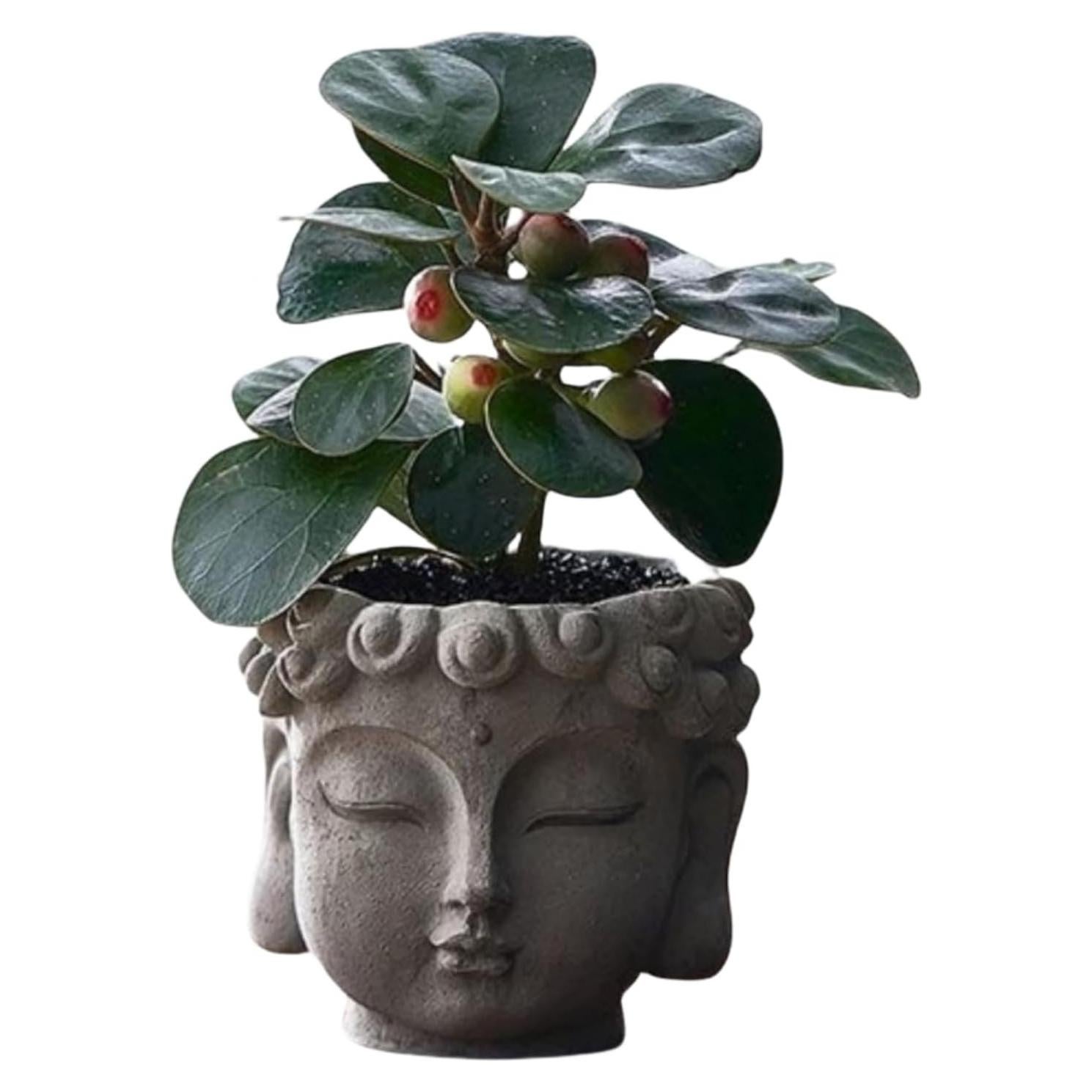 Maceta Zen de Resina YQLDAHU Cabeza de Buda 16cm Drenaje