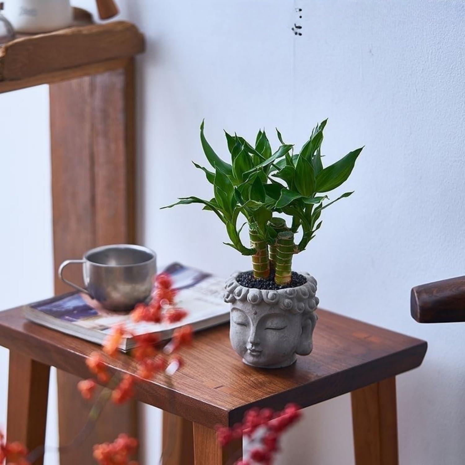 Maceta Zen de Resina YQLDAHU Cabeza de Buda 16cm Drenaje