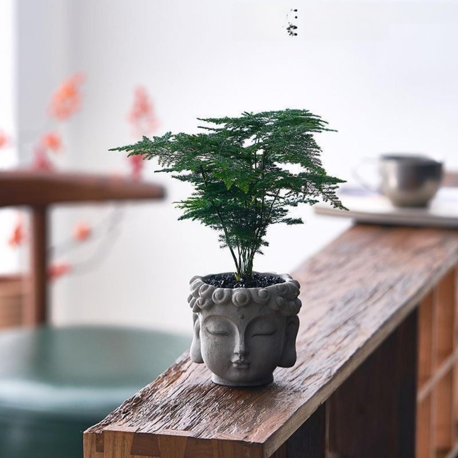 Maceta Zen de Resina YQLDAHU Cabeza de Buda 16cm Drenaje