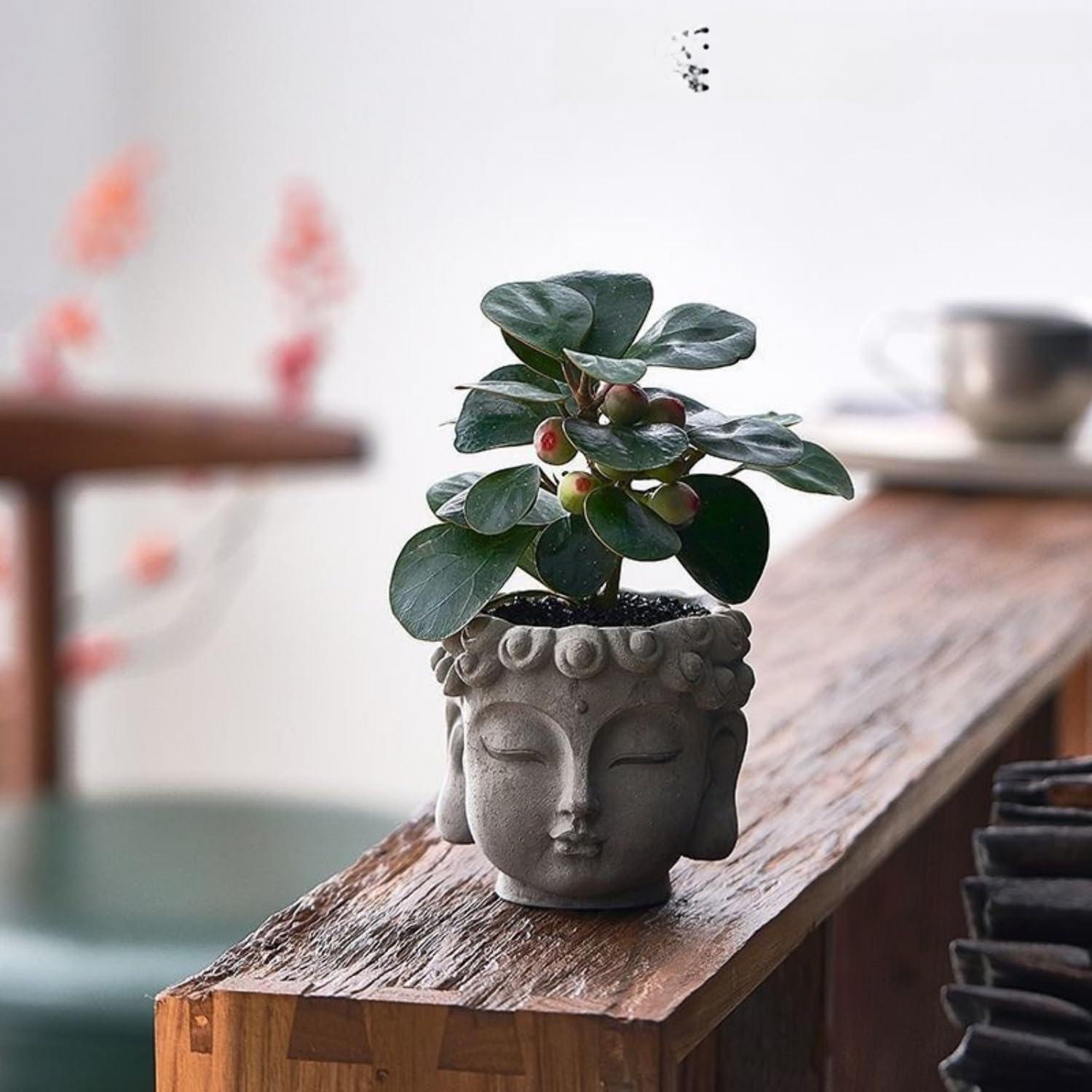 Maceta Zen de Resina YQLDAHU Cabeza de Buda 16cm Drenaje