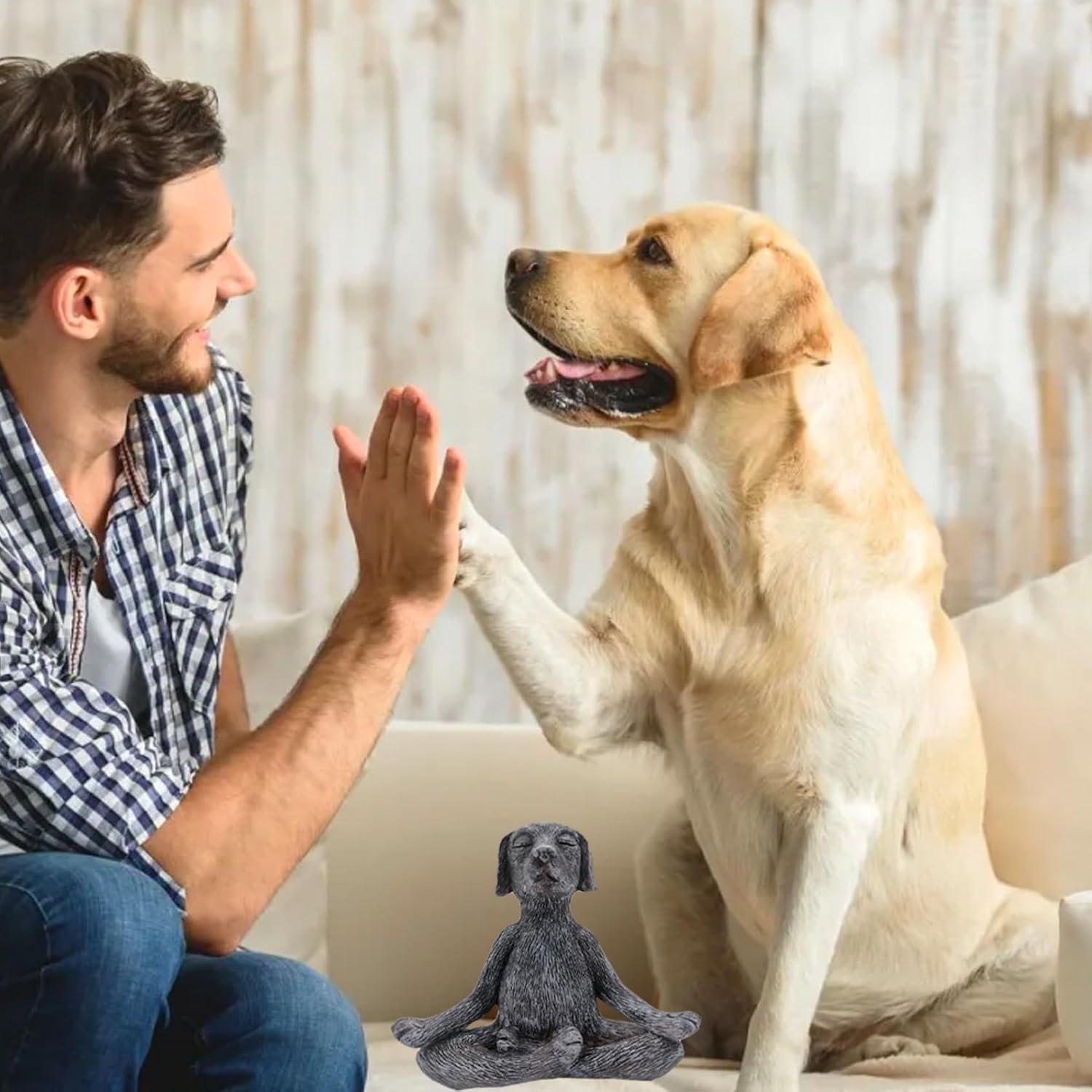 Estatua de Perro de Meditación Zen en Resina Gris 12cm