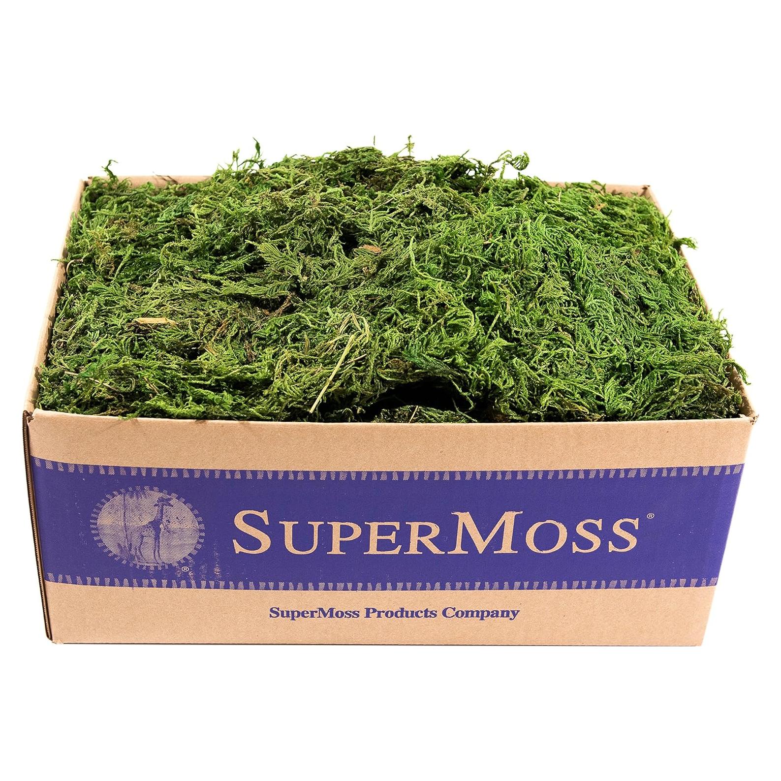 Musgo de Bosque Conservado SuperMoss 1.36 kg Verde Fresco