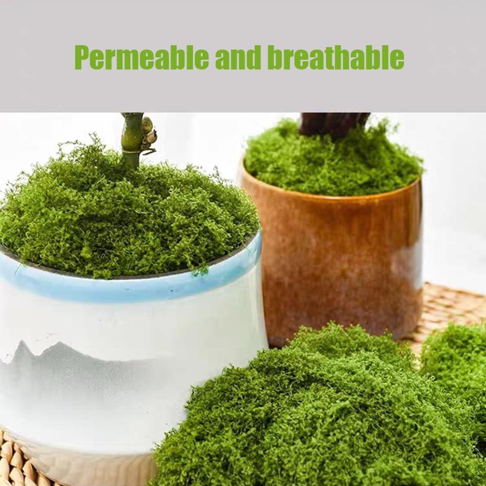 Musgo Artificial Fancypost 150 g para Manualidades y Decoración