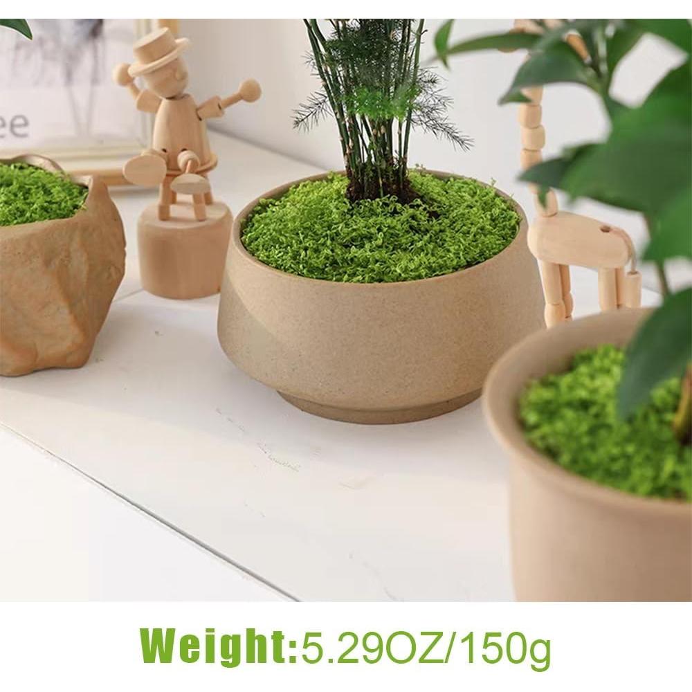 Musgo Artificial Fancypost 150 g para Manualidades y Decoración