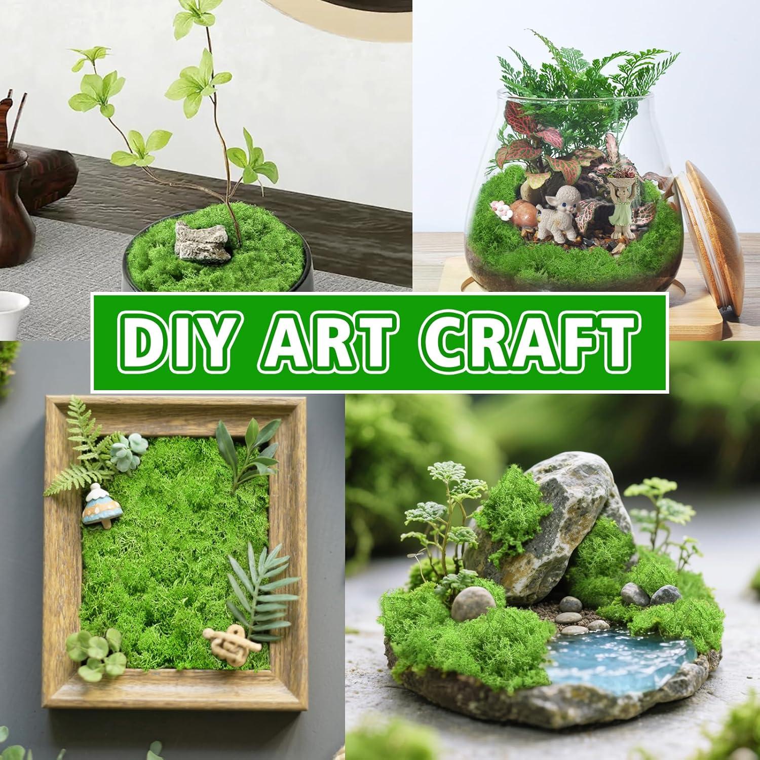 Musgo Conservado Halatool Verde para Manualidades 85 g