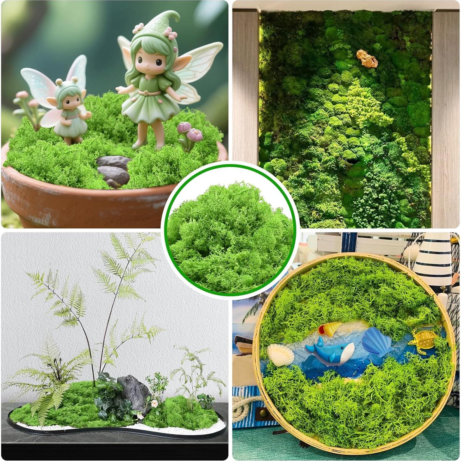 Musgo Conservado Halatool Verde para Manualidades 85 g