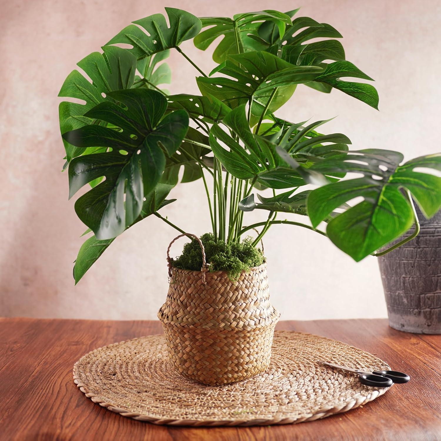 Musgo Falso USMOLA 198G Verde Natural para Manualidades