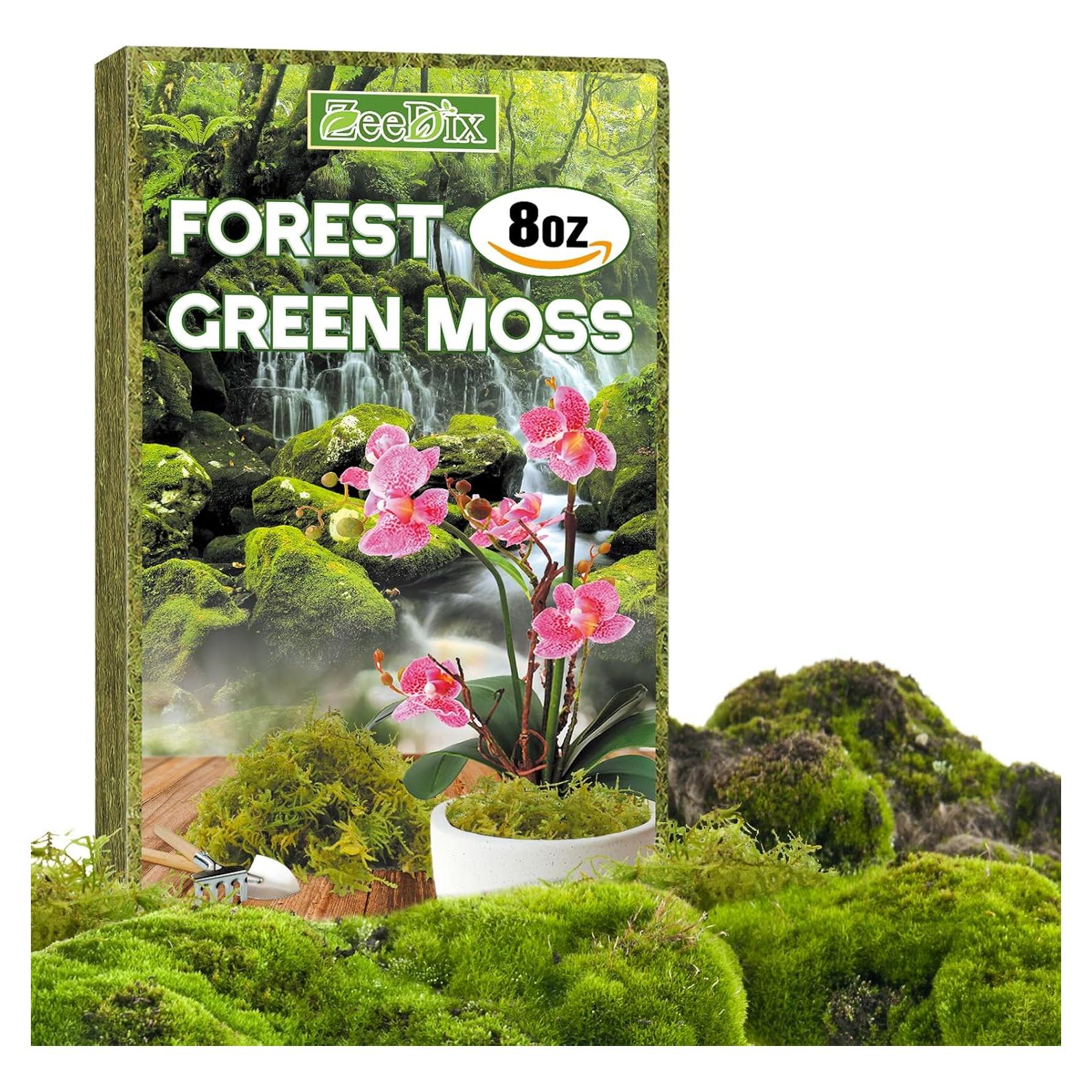 Musgo de Bosque ZeeDix 227g Natural para Plantas y Manualidades