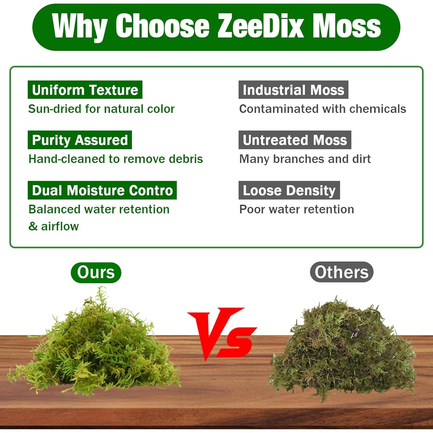 Musgo de Bosque ZeeDix 227g Natural para Plantas y Manualidades