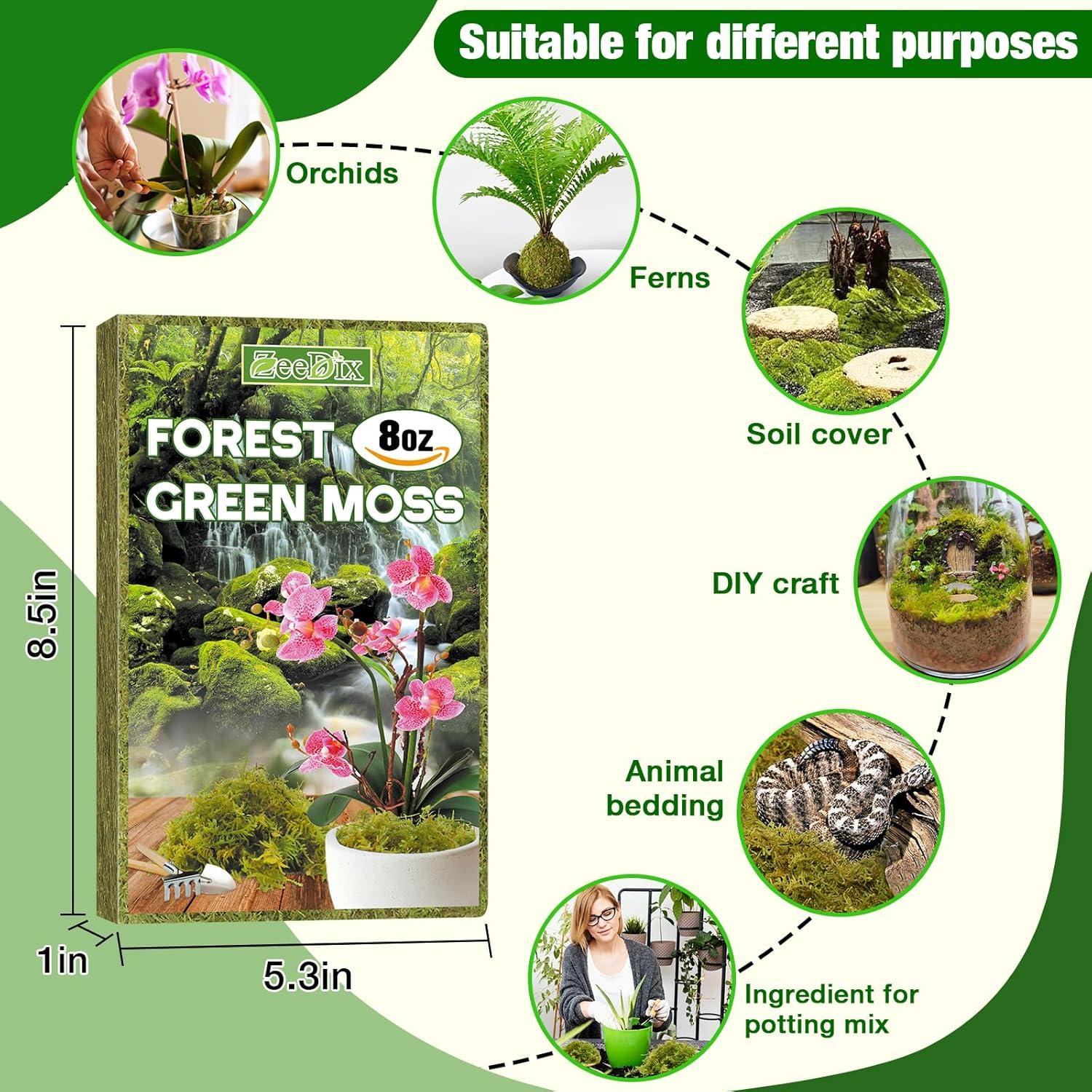 Musgo de Bosque ZeeDix 227g Natural para Plantas y Manualidades