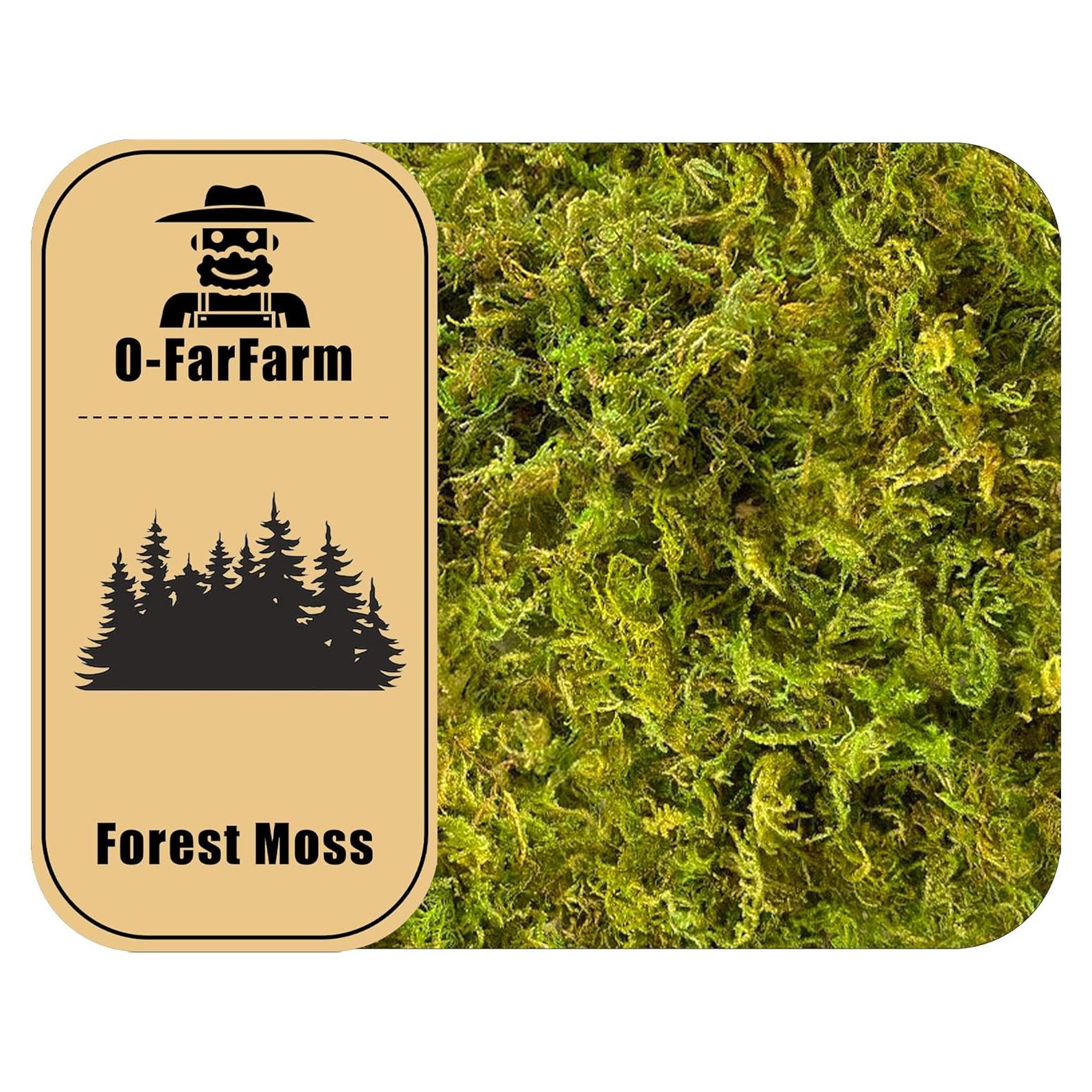 Musgo Seco de Bosque O-FarFarm 150g para Plantas y Terrarios
