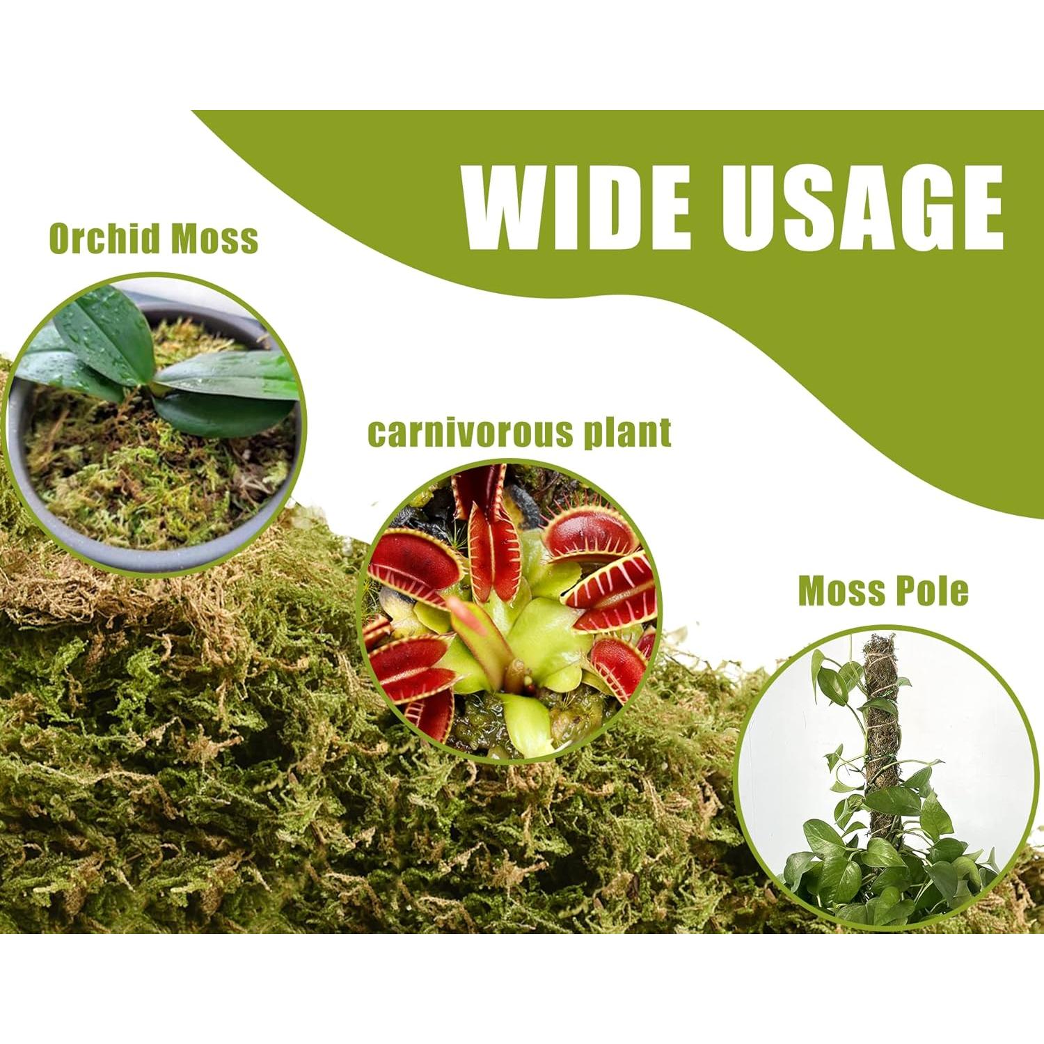 Musgo Seco de Bosque O-FarFarm 150g para Plantas y Terrarios