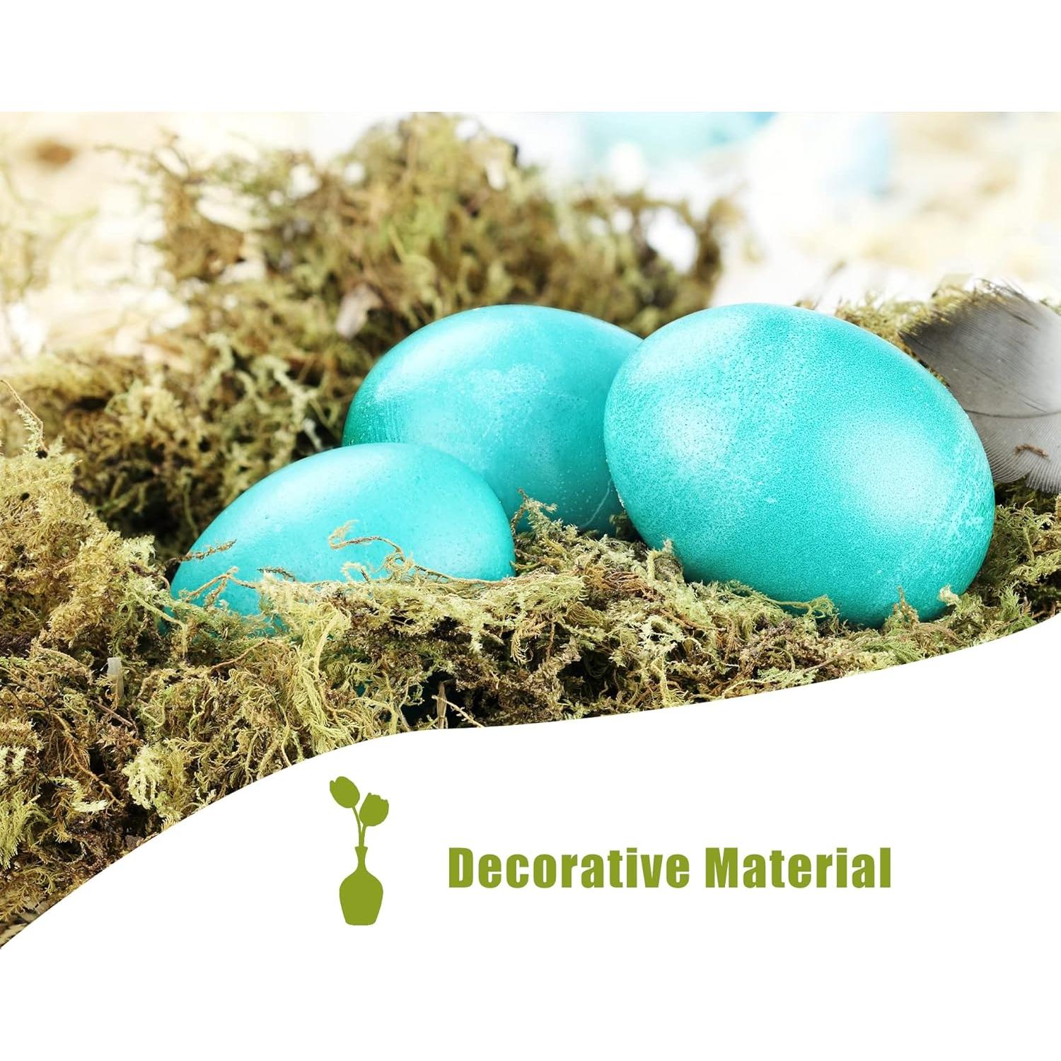 Musgo Seco de Bosque O-FarFarm 150g para Plantas y Terrarios