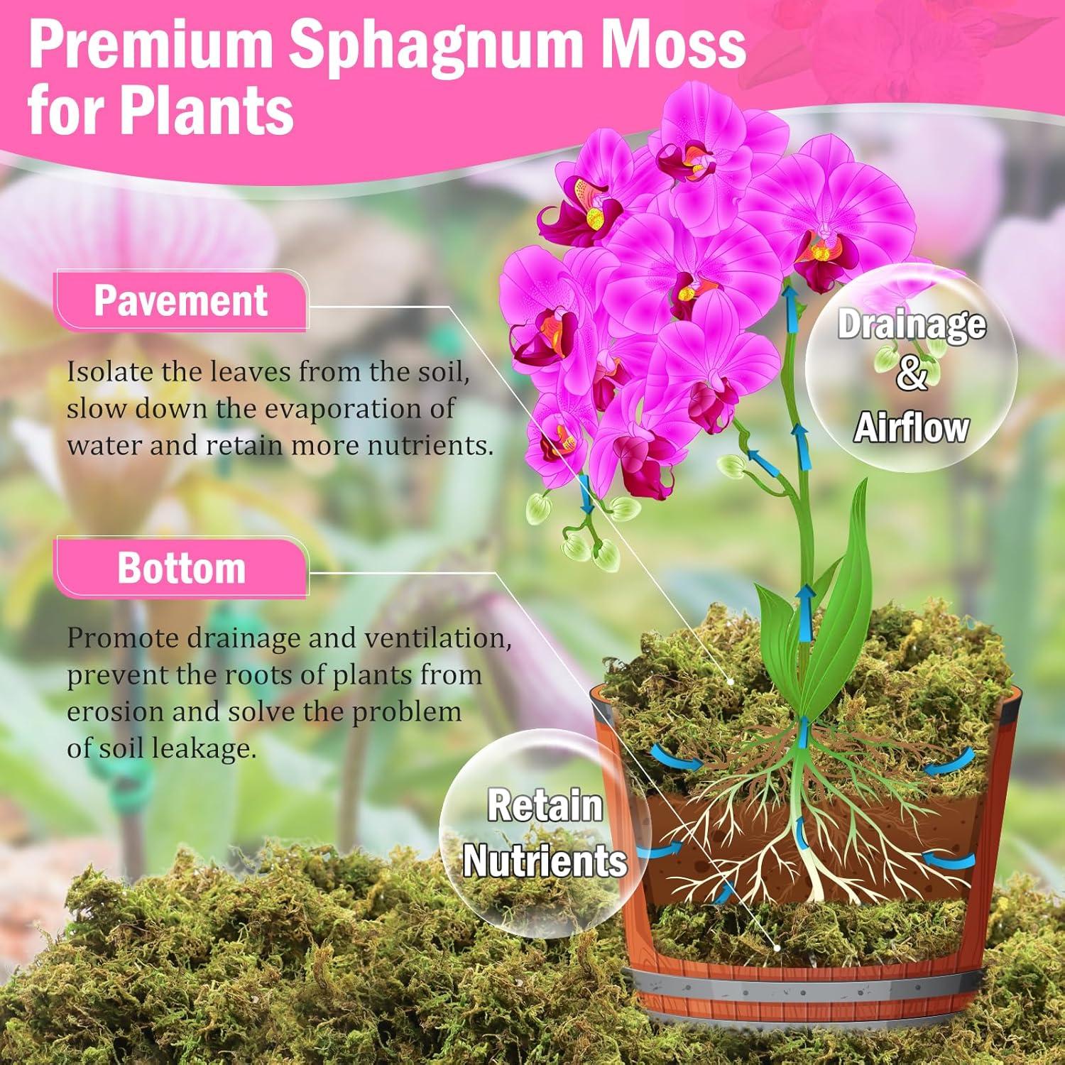 Musgo Sphagnum Natural Riare 4.4lbs para Plantas 80QT