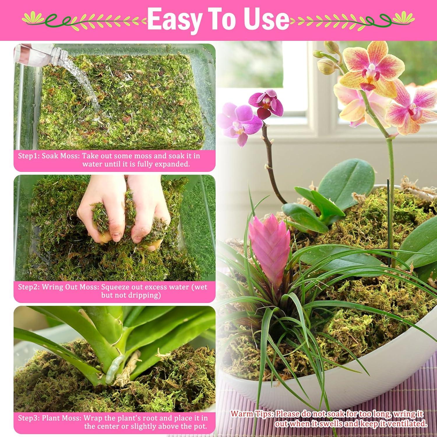 Musgo Sphagnum Natural Riare 4.4lbs para Plantas 80QT