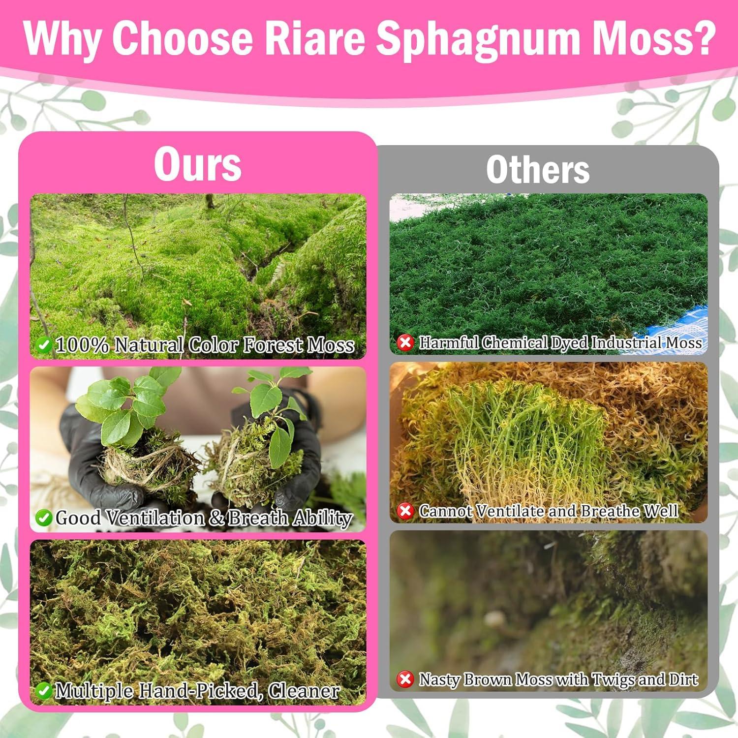Musgo Sphagnum Natural Riare 4.4lbs para Plantas 80QT