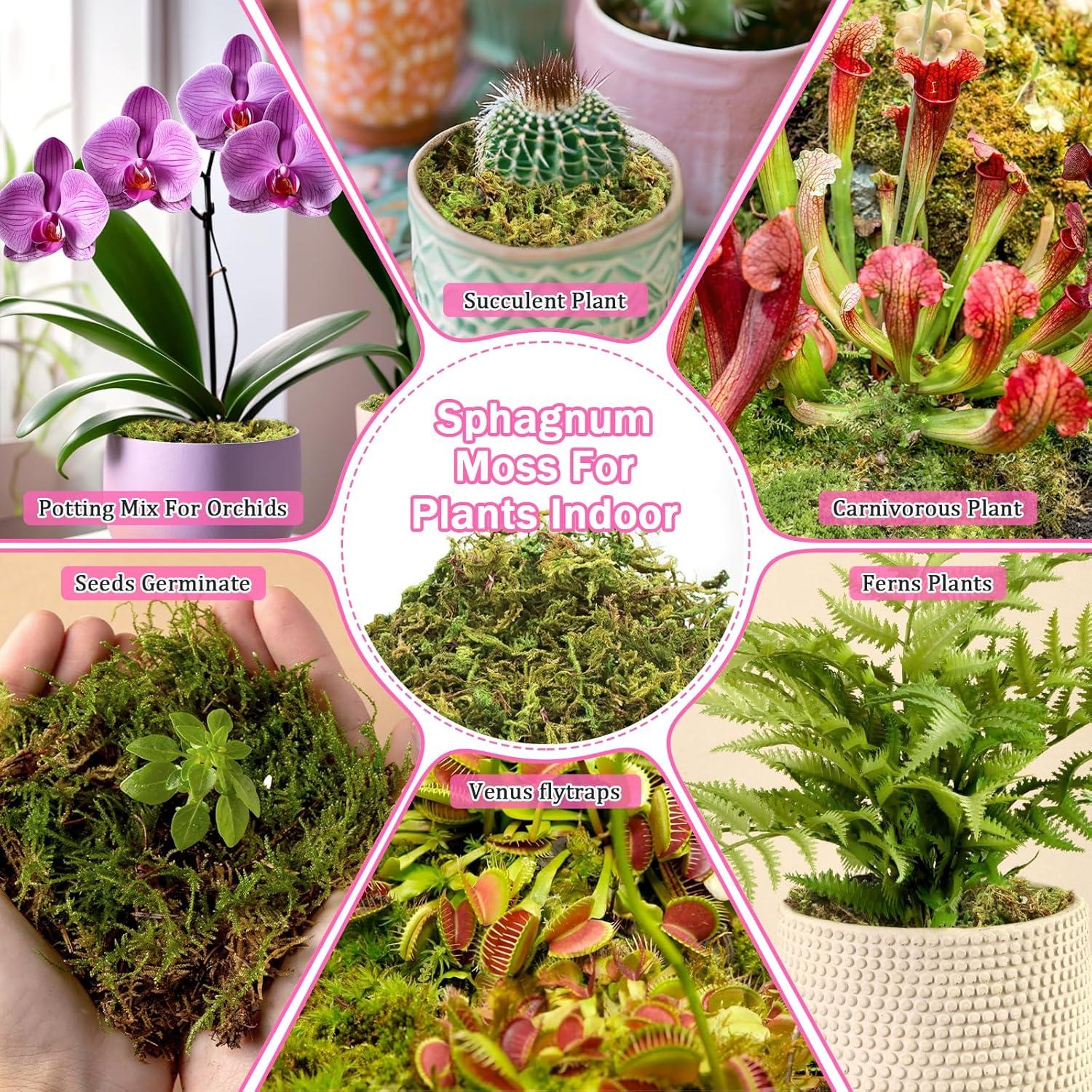 Musgo Sphagnum Natural Riare 4.4lbs para Plantas 80QT