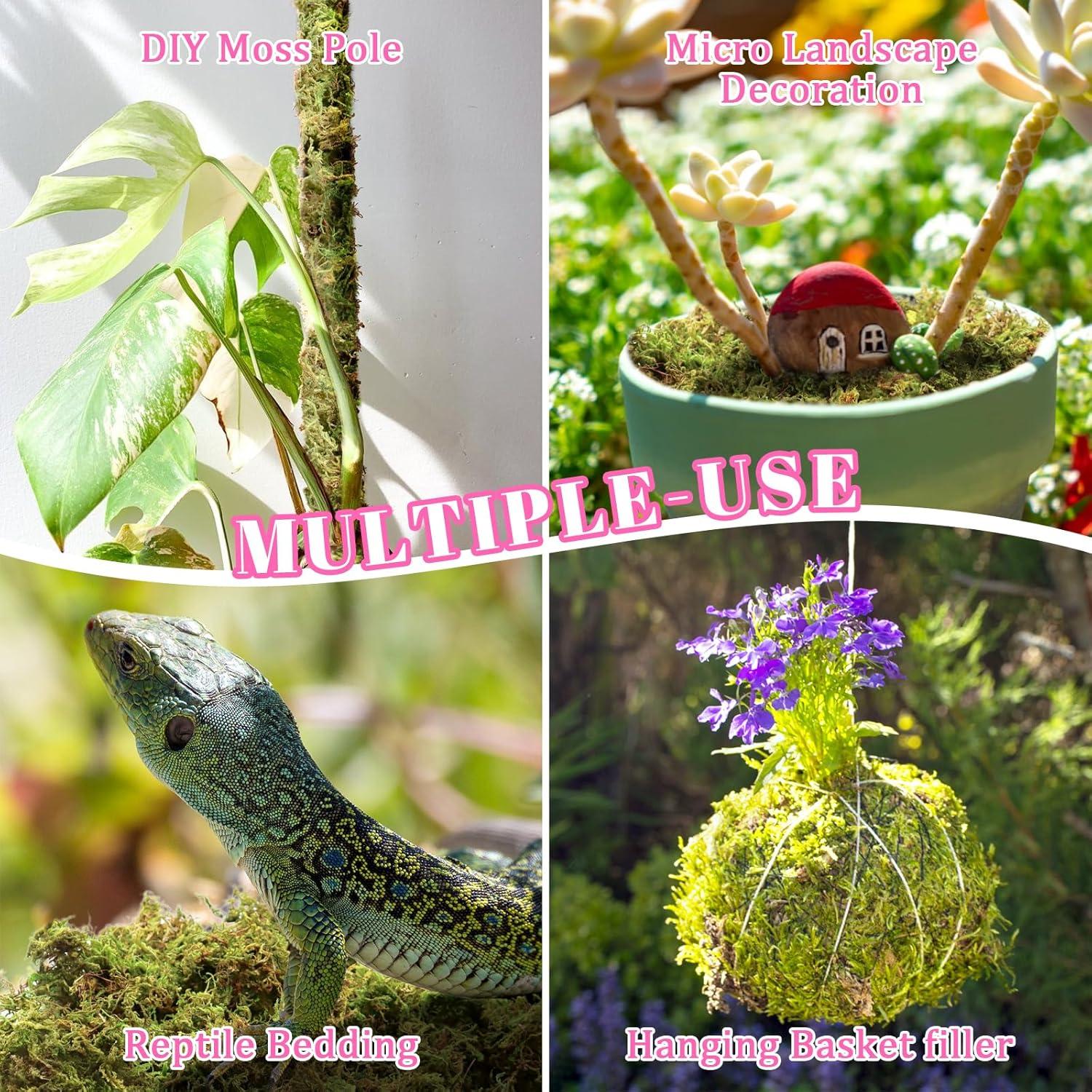 Musgo Sphagnum Natural Riare 4.4lbs para Plantas 80QT