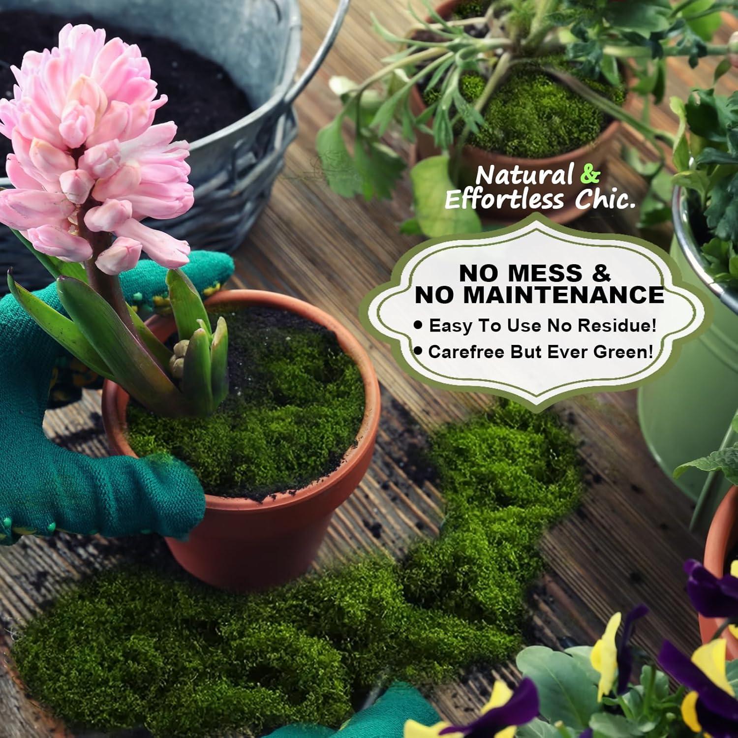 Musgo Falso Verde para Jardinería Damaflawa 178g Decoración