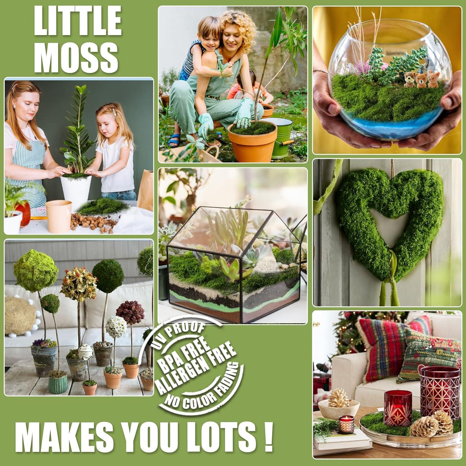 Musgo Falso Verde para Jardinería Damaflawa 178g Decoración