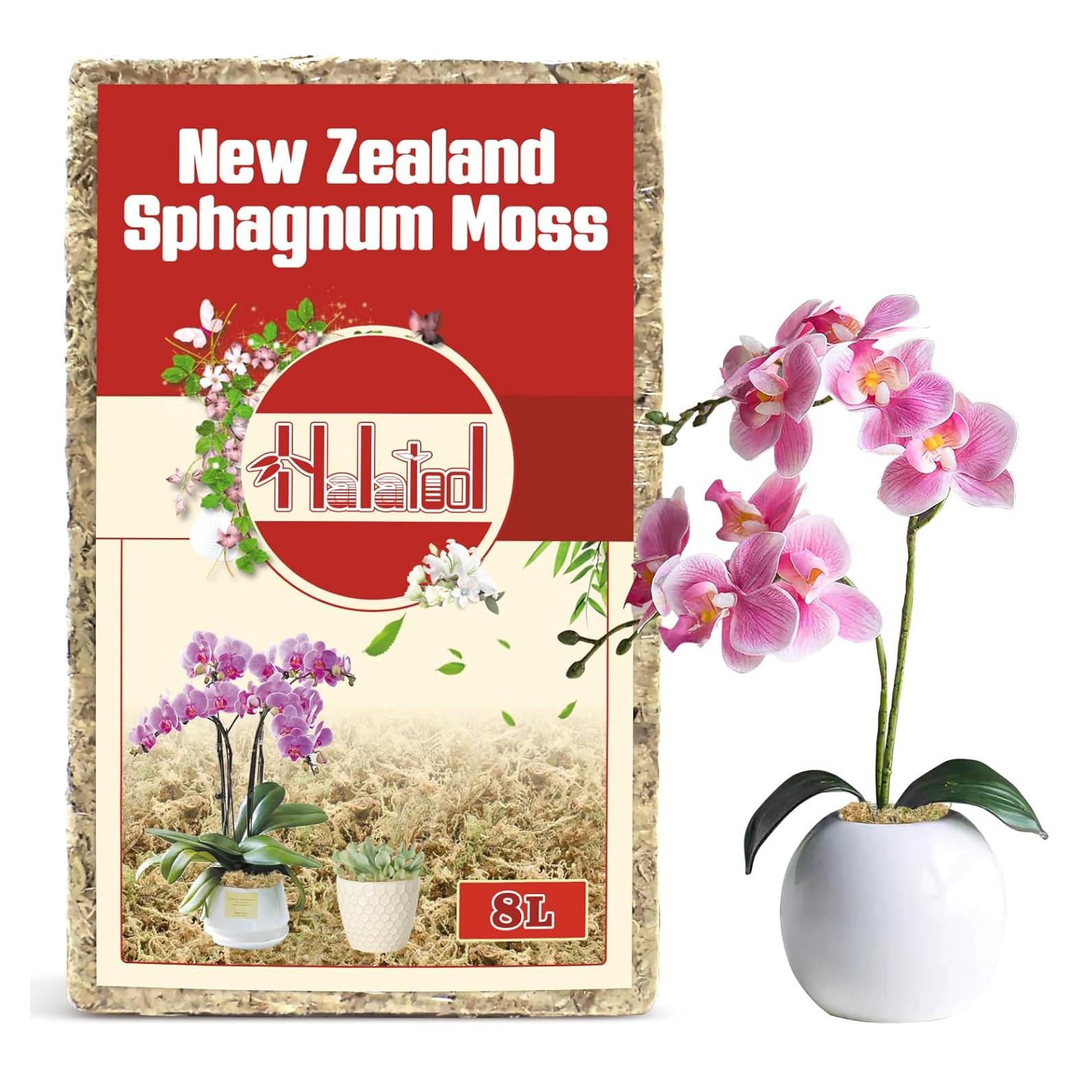 Musgo Sphagnum Halatool de Nueva Zelanda 100g para Jardinería