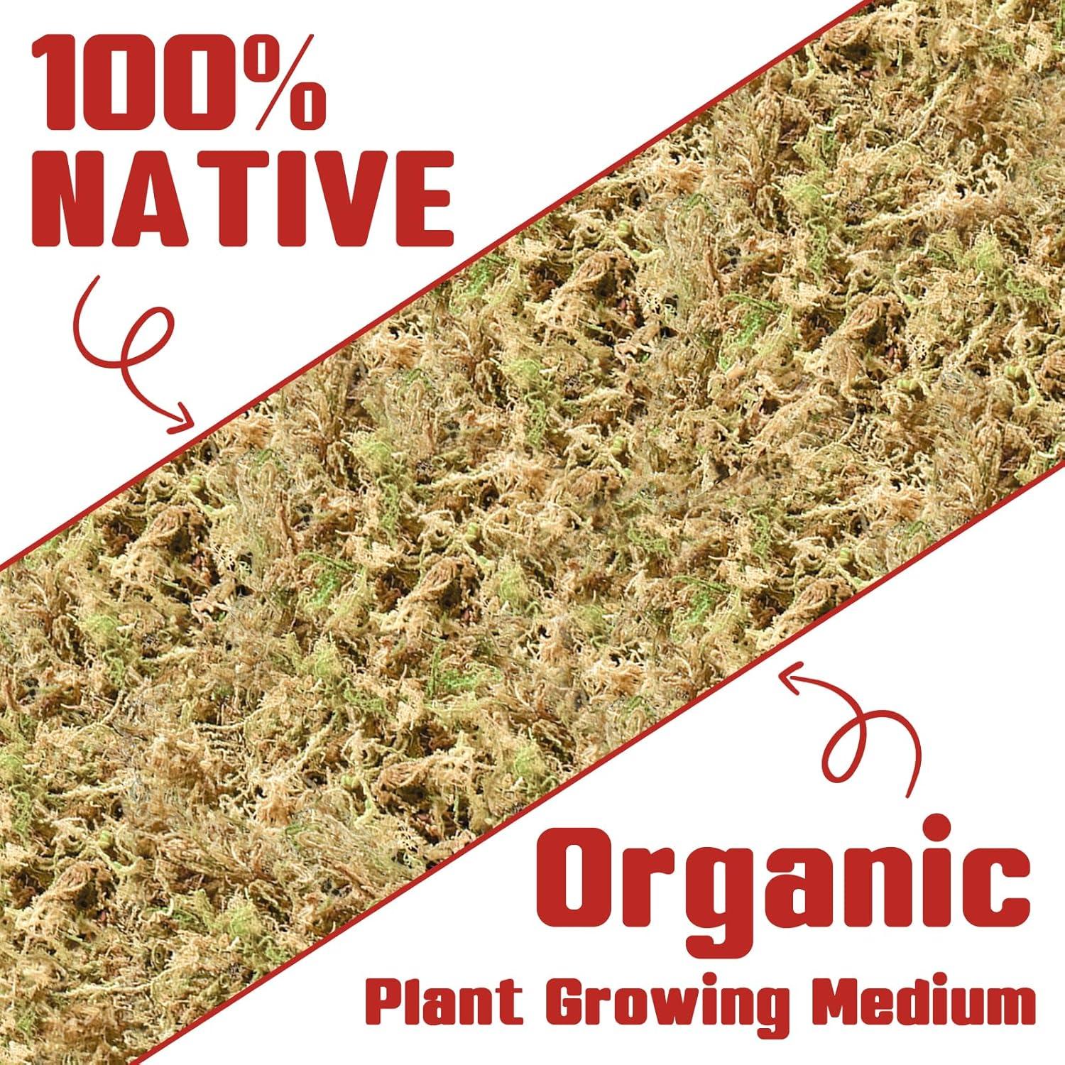 Musgo Sphagnum Halatool de Nueva Zelanda 100g para Jardinería